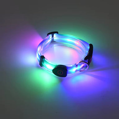 LED Hundehalsbånd genopladelig