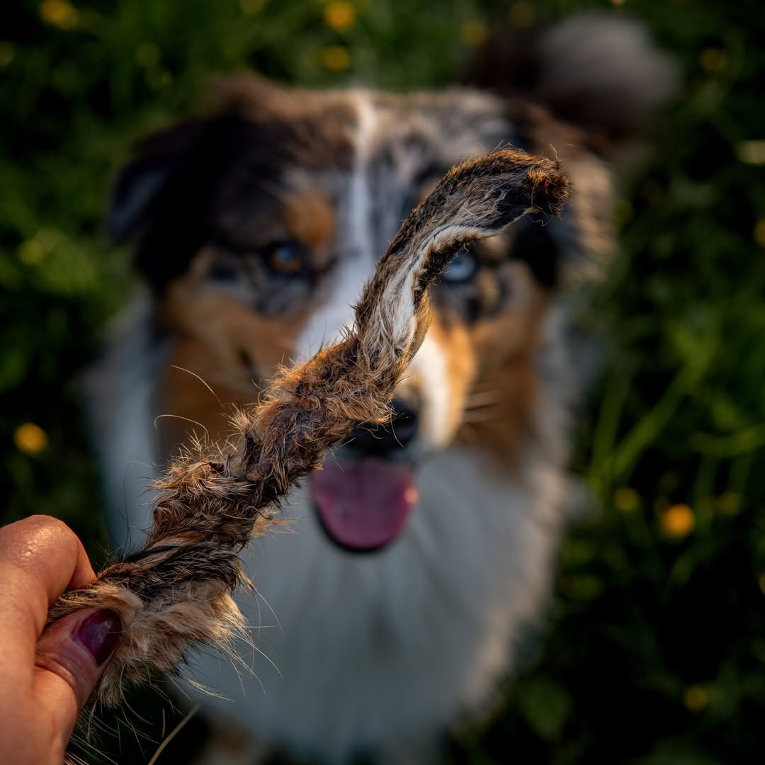 Tyggeben til hunde | Kaninører med pels | 100g | Riverwood Tyggeben