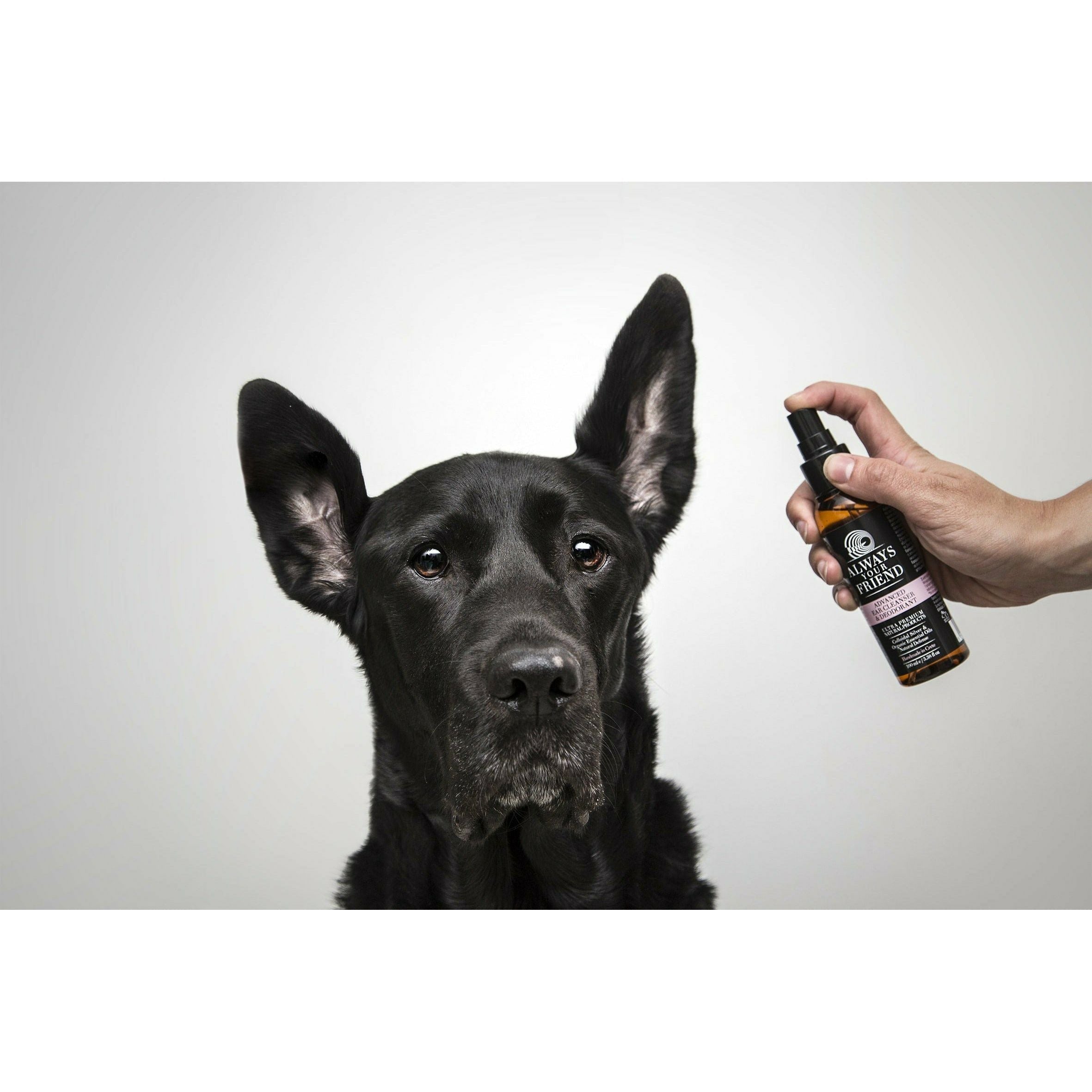 Ørerens til Hunde - Ear Cleanser & Deodorant 100ml - Always Your Friend