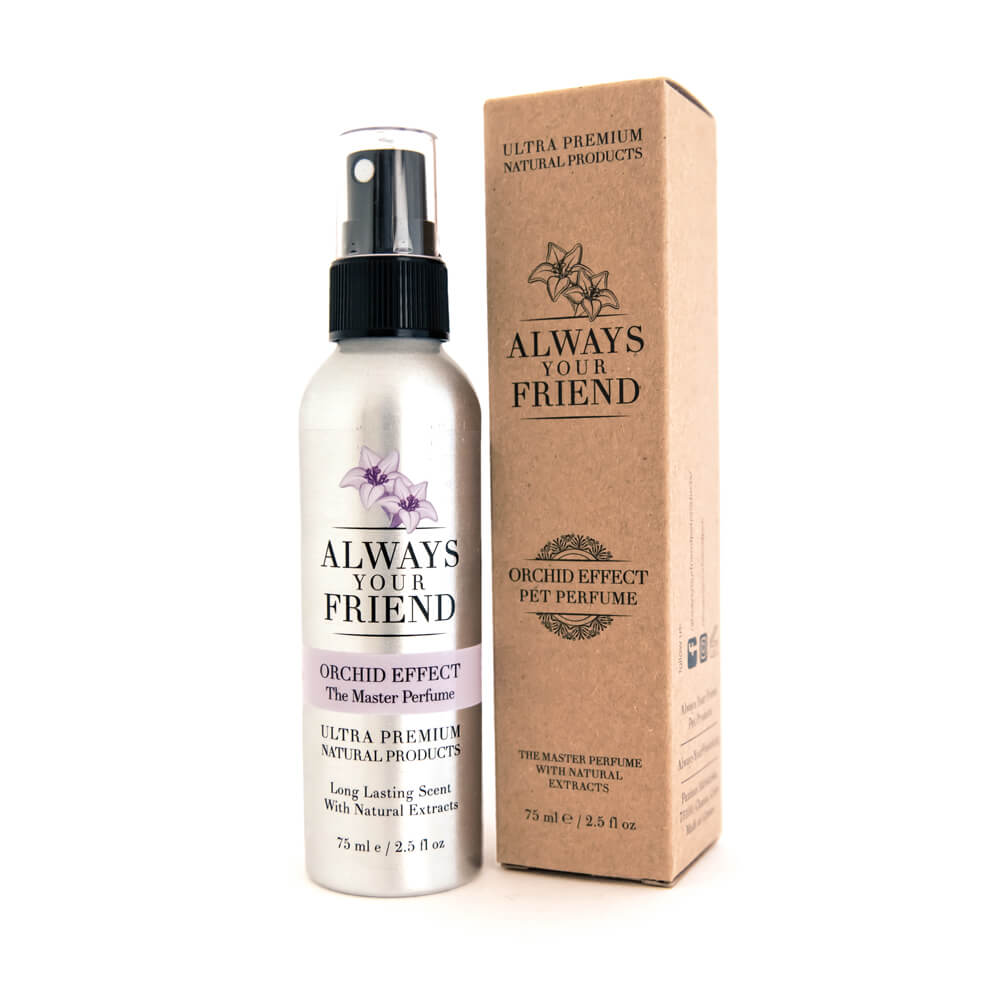 Orchid Effect Perfume 75ml - Always Your Friend