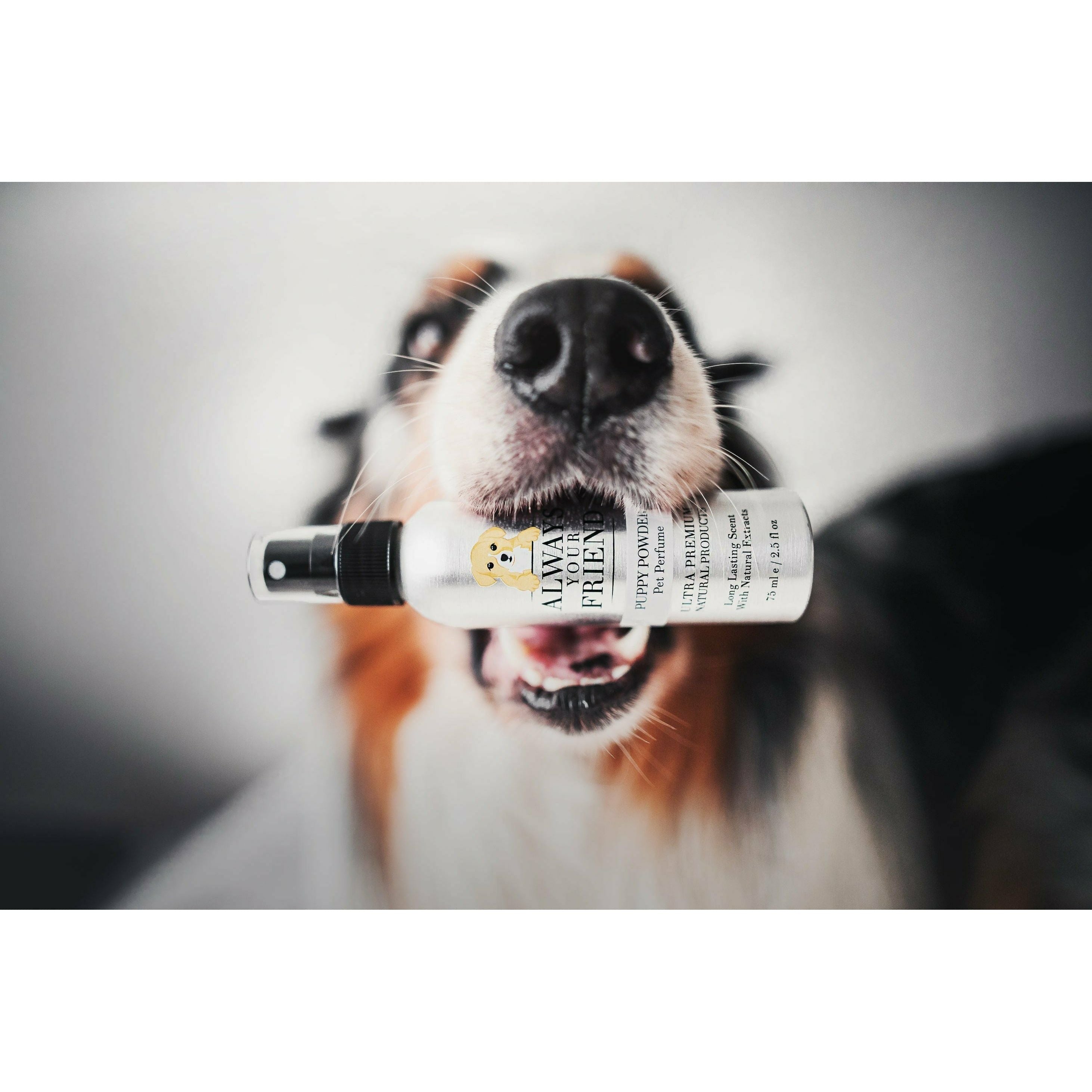 Puppy Powder Perfume 75ml - Always Your Friend