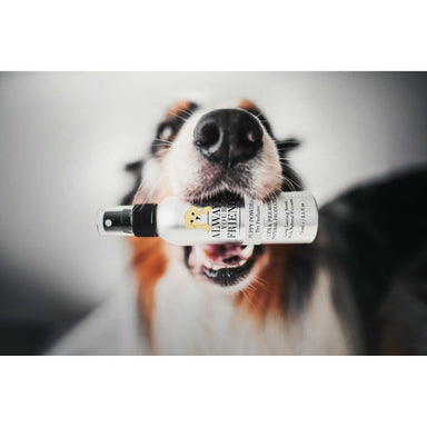 Puppy Powder Perfume 75ml - Always Your Friend