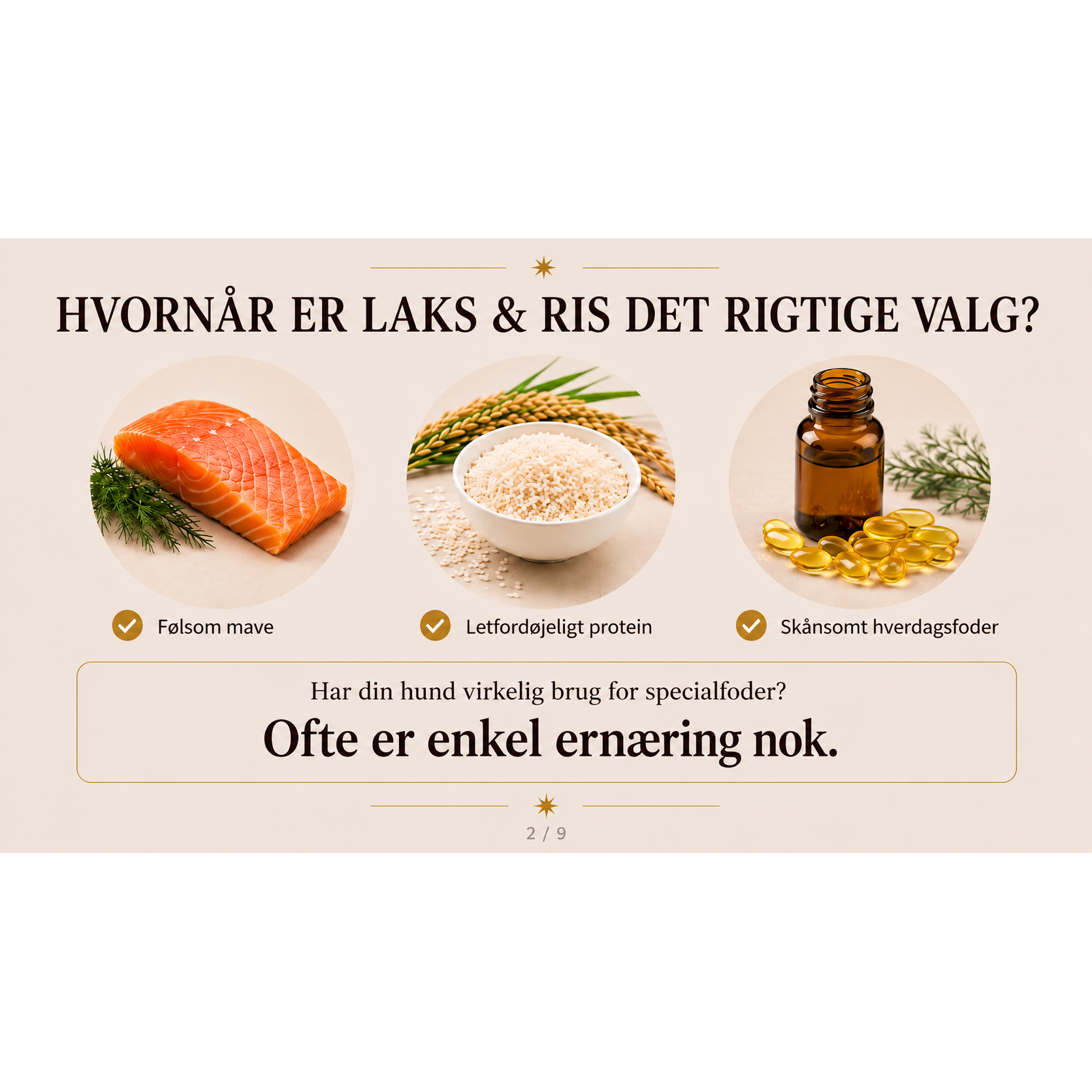 20kg Hundefoder med Laks og Ris | Glutenfri Tørfoder fra Dr.Clauder's