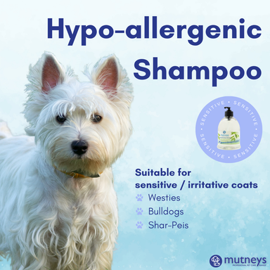 Mutneys Hypo-Allergenic Hundeshampoo skånsom og mild mod følsom hud og pels