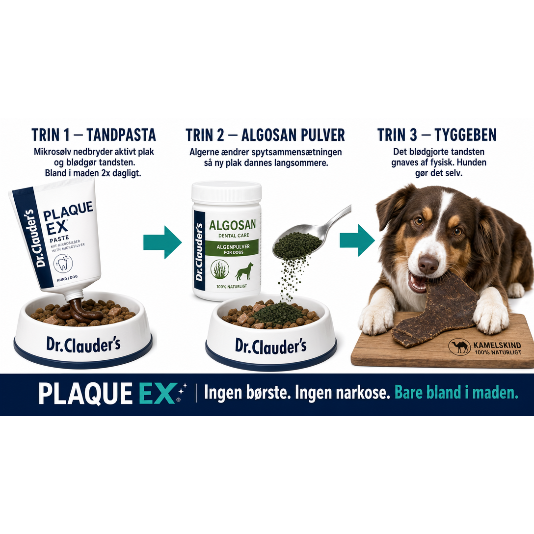 Plaque Ex 3-trins system: Trin 1 tandpasta, Trin 2 algosan pulver, Trin 3 tyggeben