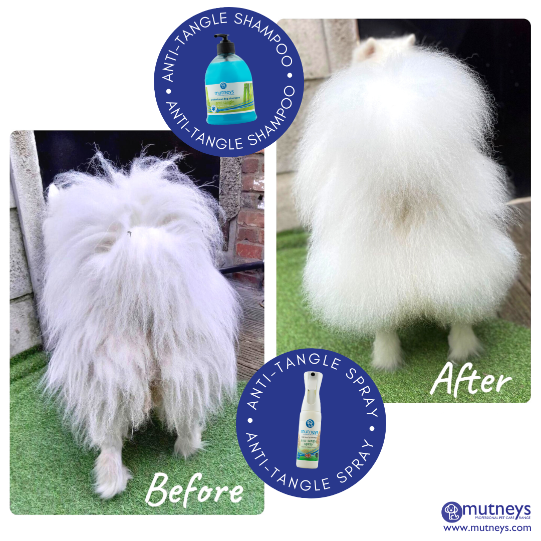 Mutneys Detangler Hundeshampoo | Reducerer sammenfiltringer og pelsknuder