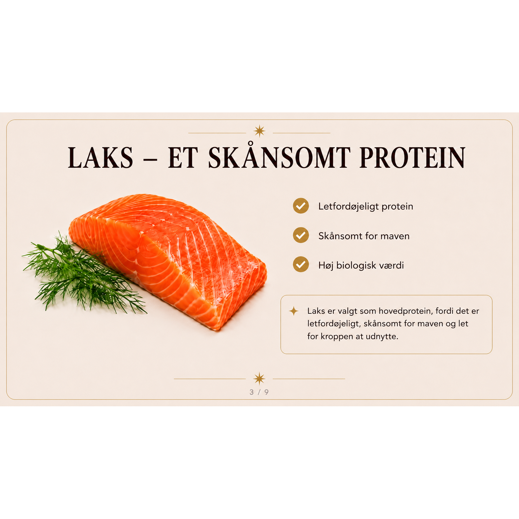 20kg Hundefoder med Laks og Ris | Glutenfri Tørfoder fra Dr.Clauder's