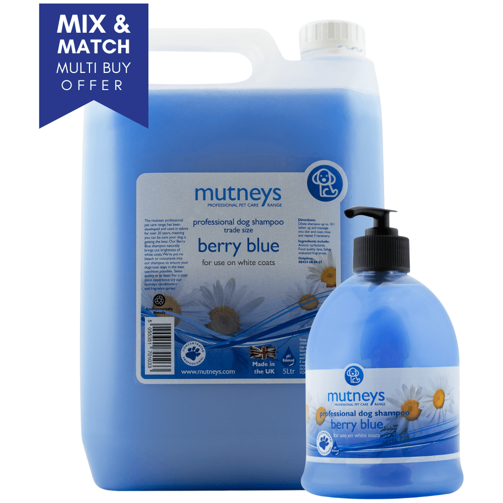 Mutneys Berry Blue Hundeshampoo velegnet til hvide og plettede hunde