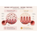 2kg Mini And & Kartofler | Kornfrit Hypoallergenic
