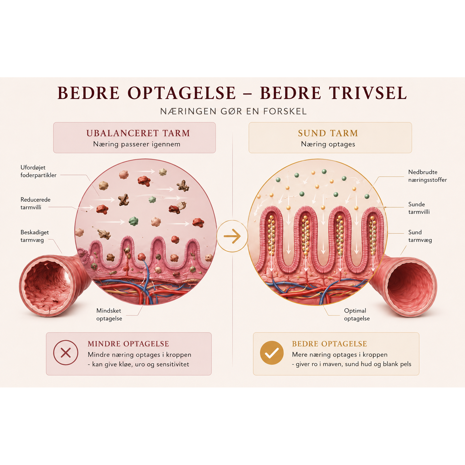 2kg Mini And & Kartofler | Kornfrit Hypoallergenic