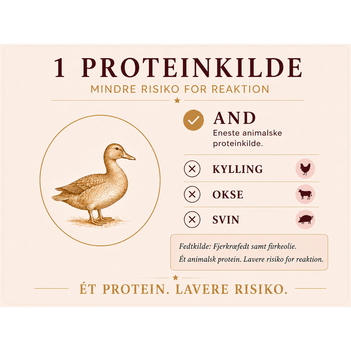 Hyposensitive Mini And & Poteter 2 kg