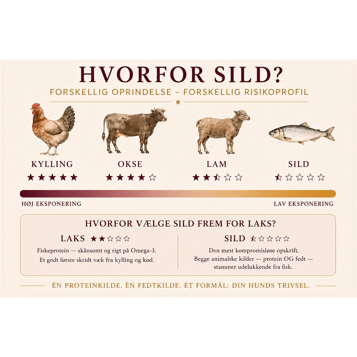 Hyposensitive Sild & Poteter All Breed