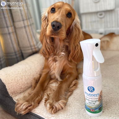 Mutneys Detangler Spray | Effektivt hjælpemiddel mod knuder og filtret pels
