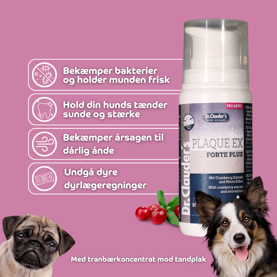 Plaque Ex Hundetandpasta | Mod Plak, Tandsten & Dårlig ånde