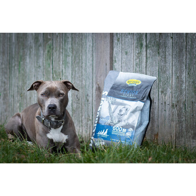 Senior Hundefoder Light 8,5% Fedt | 12,5kg | Glutenfri | Dr.Clauder's