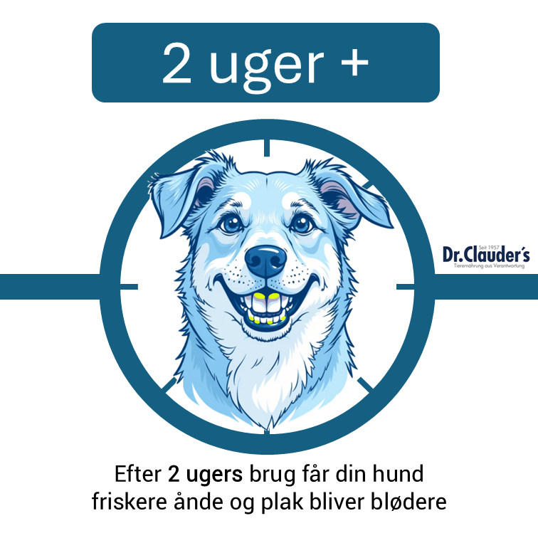 Køb tandplejepakken