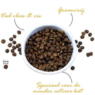 Riverwood Kat Indendørs | Kylling & And med laks