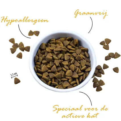 Riverwood Kat Udendørs | And & Rensdyr med vildsvin
