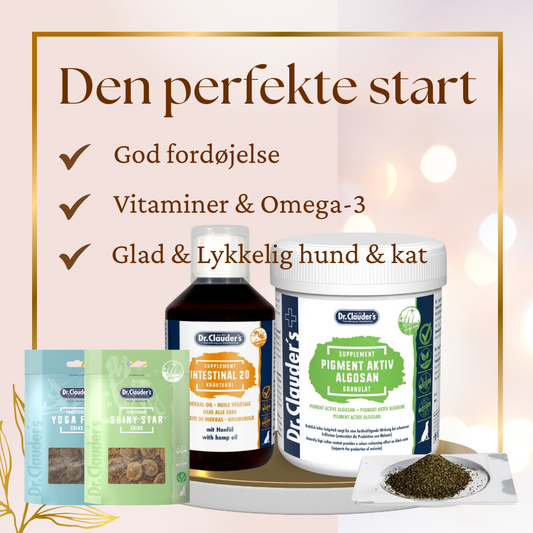 Den Perfekte Start