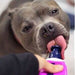 Dr.Clauder's Tubesnack Workout Energi POWER FRESH Hundegodbidder Dr.Clauder's 