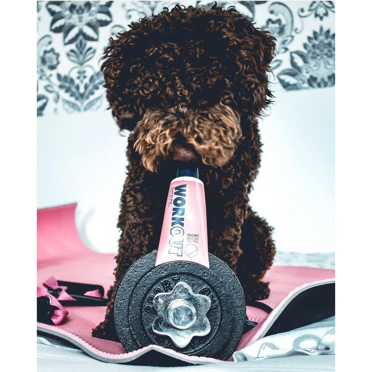 Dr.Clauder's Tubesnack Workout Laks Hundegodbidder Dr.Clauder's 