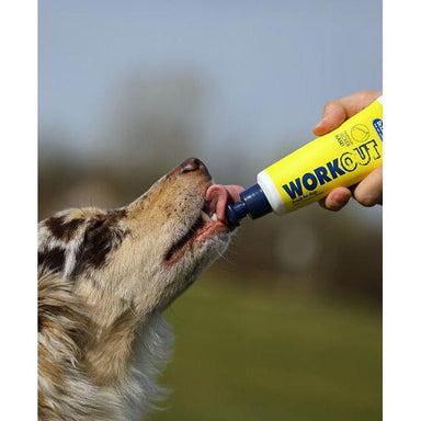 Dr.Clauder's Tubesnack Workout Ost Hundegodbidder Dr.Clauder's 