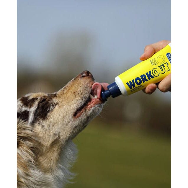 Dr.Clauder's Tubesnack Workout Ost Hundegodbidder Dr.Clauder's 